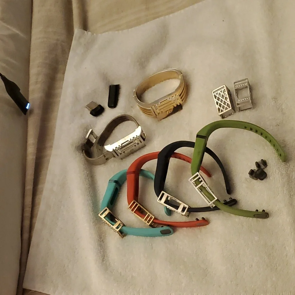 FitBit original Flex bundle